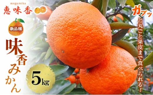 佐賀みかん みかん 味香みかん 5kg 新品種 果皮も美味しく食べられる！フルーツ ※配送不可：離島