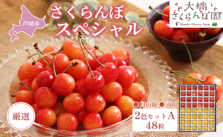 【 先行受付 】さくらんぼ 厳選 さくらんぼスペシャル 2色Ａ 48粒 赤 黄 大橋さくらんぼ園  農林水産大臣賞 受賞 化粧箱入り ギフト お中元 贈り物 南陽 月山錦  サクランボ チェリー 果物 フルーツ デザート