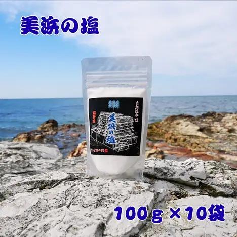 美浜の塩 1kg 100g×10袋 ｜天然塩 塩 食塩 ミネラル しお 天然 調味料 ソルト 海水塩 料理 味付 国産 おにぎり　愛知県 美浜町 食と健康の館 ※北海道・沖縄・離島への配送不可