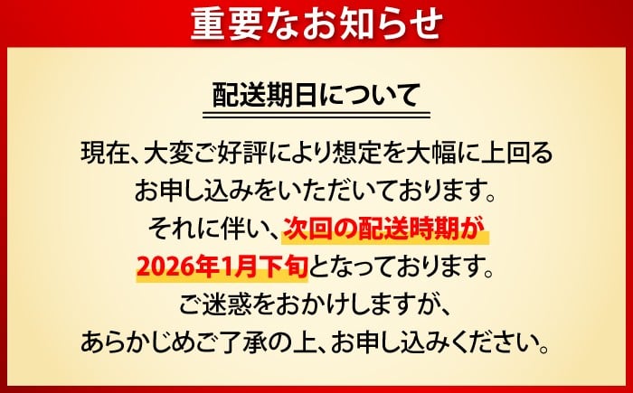 ビール サッポロ お酒 酒 日田