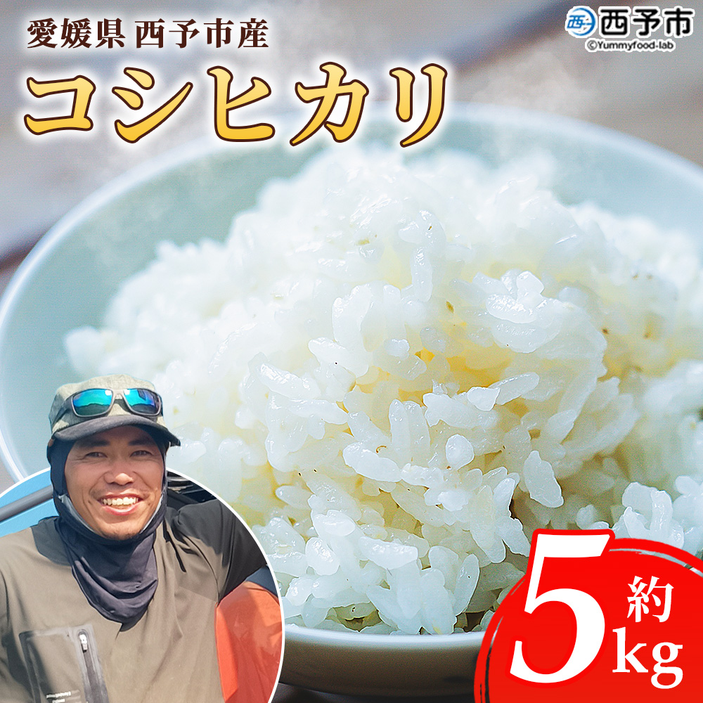 ＜愛媛県西予市産 コシヒカリ 5kg＞国産 愛媛県産 宇和町産 こしひかり お米 米 コメ こめ 白米 精米 ご飯 新鮮 5キロ 特産品 もとき農園 愛媛県 西予市【常温】『2025年10月・11月頃から順次発送予定』