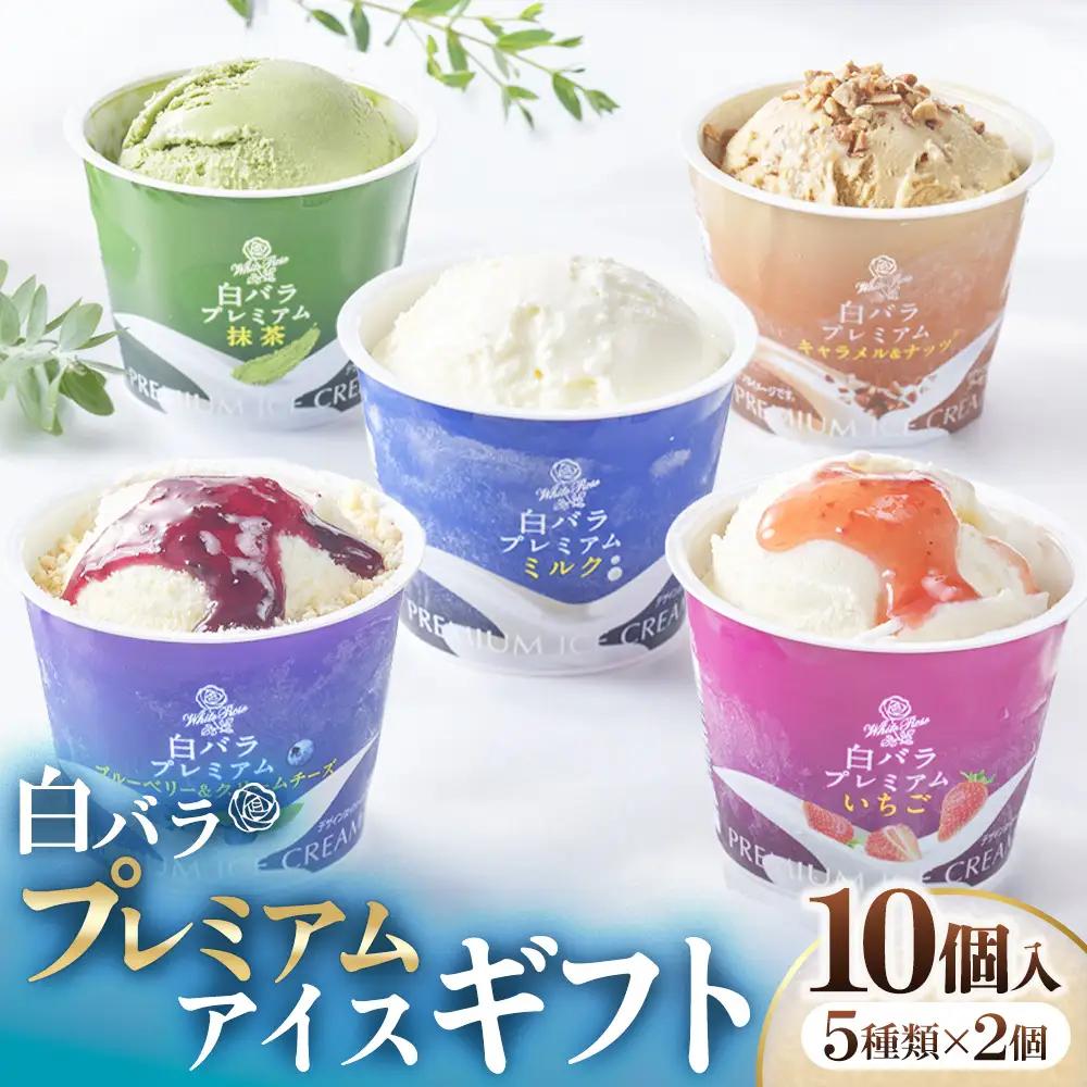 【大山乳業】白バラプレミアムアイスギフト10個入り アイスクリーム クリームチーズ スイーツ