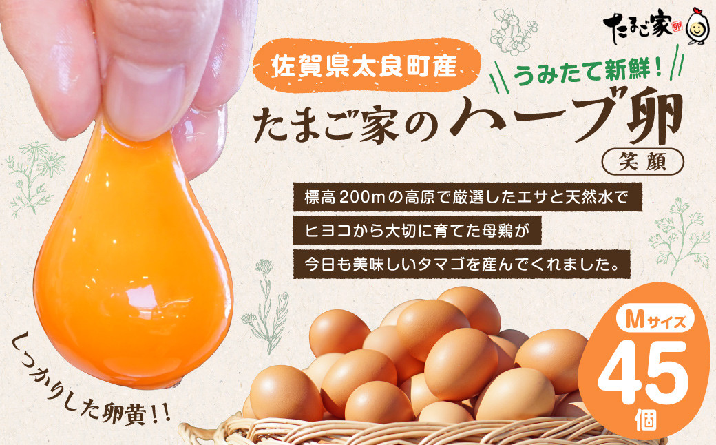 
                  たまご家のハーブ卵（笑顔）45個 たまご 卵 玉子 タマゴ 鶏卵 卵かけご飯 佐賀県 太良町 NB6
                