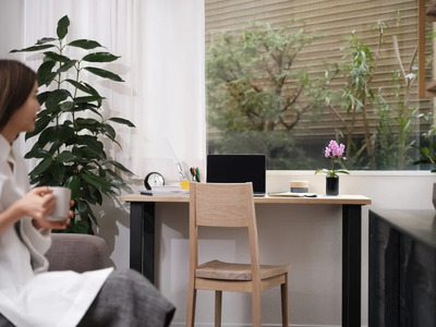 小さな 胡蝶蘭 1本立ち 鉢 付き 3鉢 ranto Sサイズ 【 胡蝶蘭 】