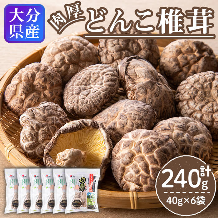 【ふるさと納税】 大分県 国東半島産 どんこ椎茸 (計240g・40g×6袋) 椎茸 シイタケ 小分け 肉厚 きのこ キノコ おかず お惣菜 惣菜 常温【opap002】【大分乾物】