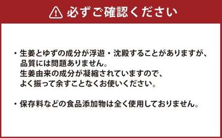 【12ヵ月定期便】 Craft GingerY （ゆず） 200ml×2 無添加 国産 ピリリと生姜にゆず香る ジンジャーシロップ 合計4.8L ／  シロップ しょうが ジンジャー 柚子 ユズ 高知