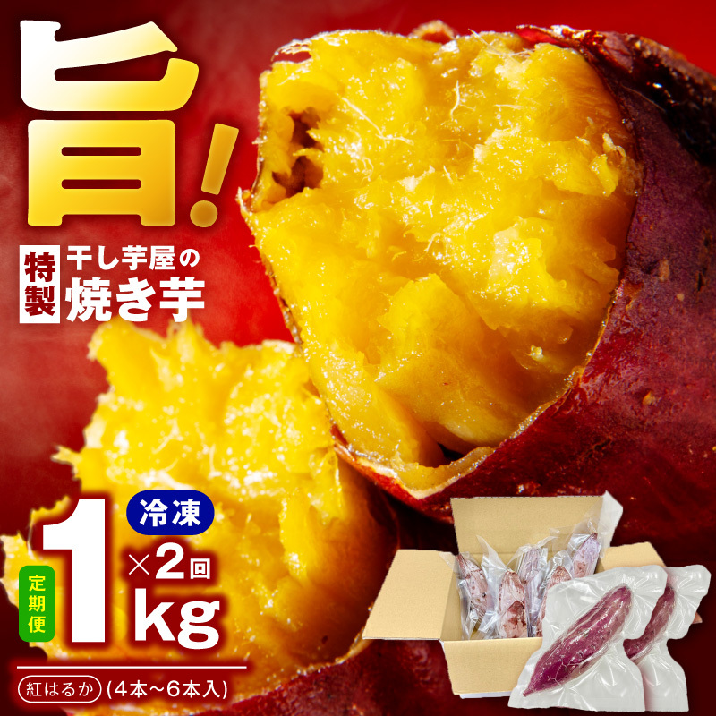 【定期便】干し芋屋の焼き芋 紅はるか約1kg 個包装4～6本入り 全2回【焼き芋 いも イモ サツマイモ さつまいも 紅はるか 冷凍 おやつ】 099Z527