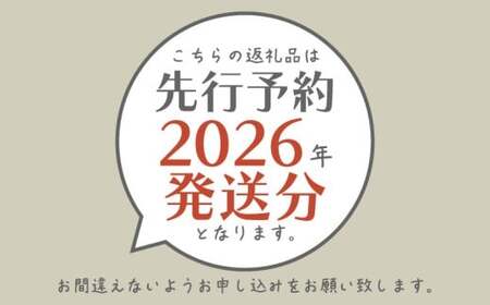 【2026年先行予約】　シャインマスカット約2.4kg（4~5房）｜シャインマスカット シャイン マスカット ブドウ ぶどう 葡萄 先行」 先行予約 山梨 
