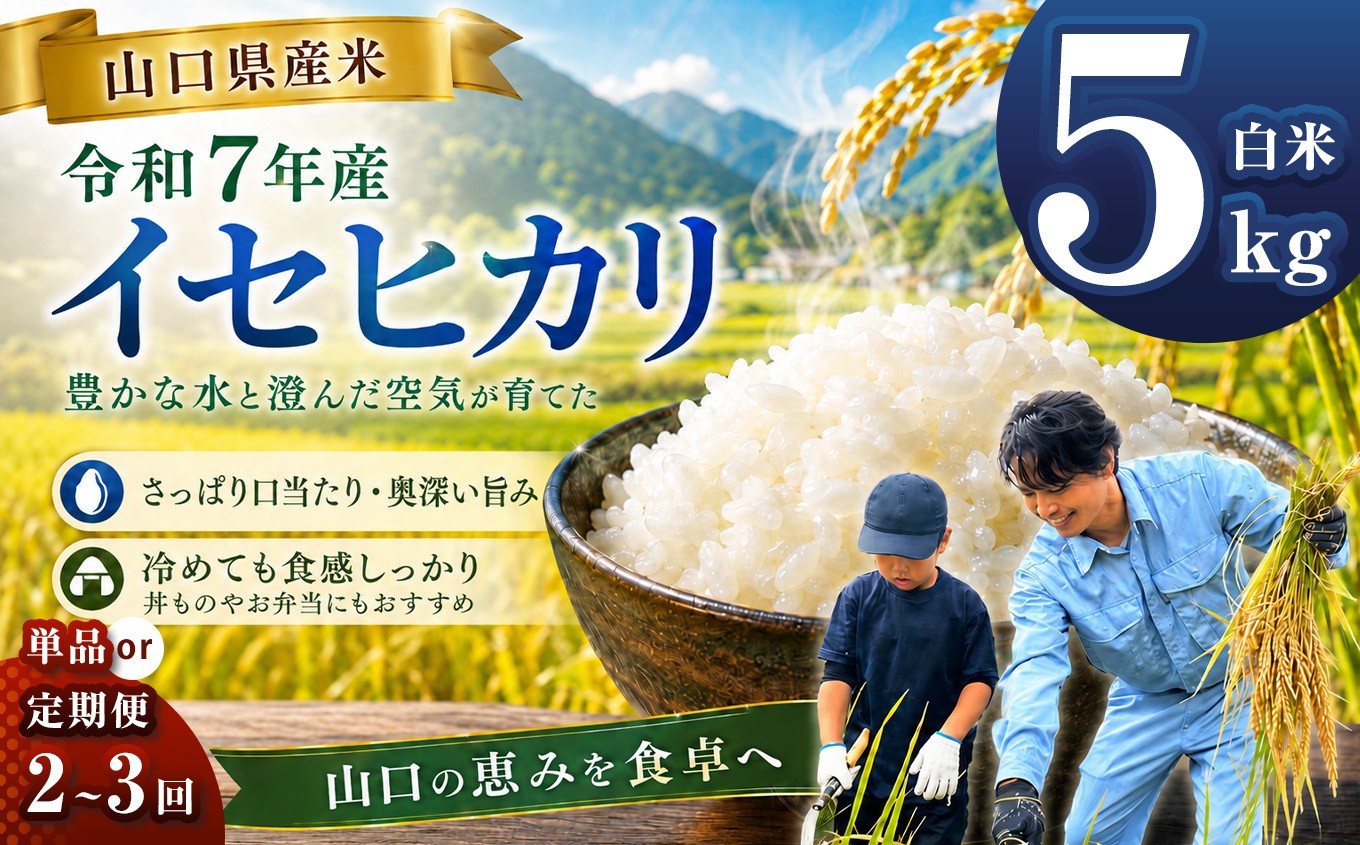 
                  令和7年産 山口県産米 イセヒカリ 5kg 【 単品 / 定期便 】 選べる 配送回数 1回 2回 3回 ｜ 令和7年産 いせひかり 山口県産米 こめ お米 コメ 白米 精米 ごはん ご飯 瀬戸内 山口県 平生町 5kg
                