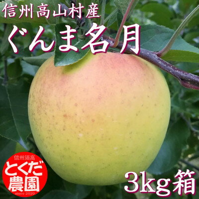 【ふるさと納税】高山村産りんご(ぐんま名月)3kg箱【1588231】