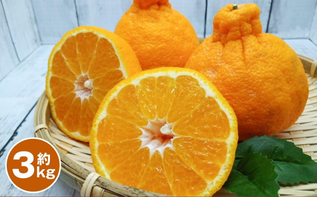 
            デコポン 約3kg 【2026年1月下旬～2月下旬迄順次発送予定】 みかん ミカン 蜜柑 くだもの 果物 柑橘 フルーツ 熊本県産
          