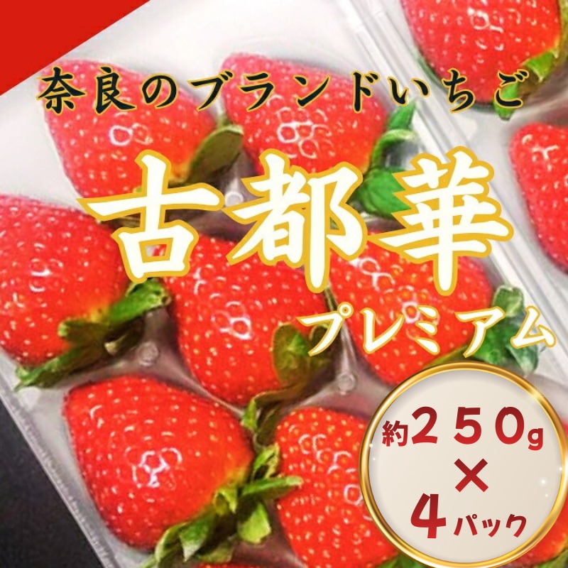 【 数量限定】 奈良のブランドいちご 古都華 約1000g 250g×4パック 1パック15~21粒 イチゴ 月 旬 産地 農場 直送 フレッシュ スイーツ スムージー ケーキ フルーツ 果物 国産 ベリー 贈答用 プレゼント 人気 ふるさと納税 ふるさと おすすめ 限定 奈良県 奈良市 なら ファーム和だや