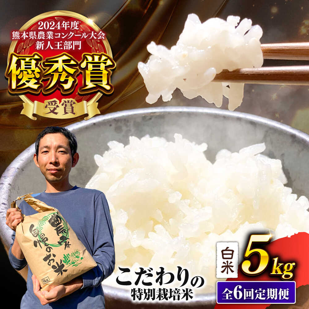 【ふるさと納税】【先行予約】 【令和7年度】 【全6回定期便】 くまさんの輝き 白米 5kg 計30kg（2025年10月下旬ごろ順次発送）米 こめ 白米 ご飯 ごはん コメ お米 精米 熊本県産 産地直送 【坂本農園】[AYCC029]