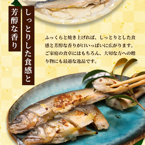 天然鮎の粕漬け 6匹 【 あゆ 鮎 アユ 天然鮎 鮎の粕漬け 鮎 】