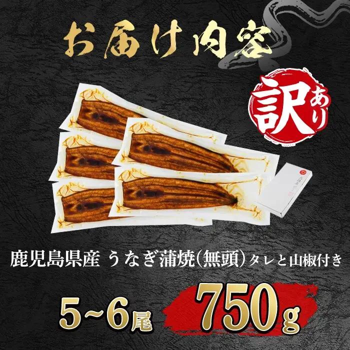 【0184359a-2607】＜土用丑の日までにお届け＞【緊急支援品】＜訳あり＞鰻の蒲焼き(無頭)(5～6尾・計約750g・タレ、山椒付) うなぎ ウナギ 鰻 国産 蒲焼 蒲焼き たれ 鹿児島 ふるさ