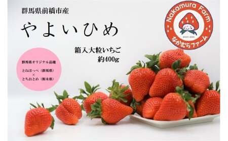 いちご 箱入り大粒いちご 『やよいひめ』 約400g