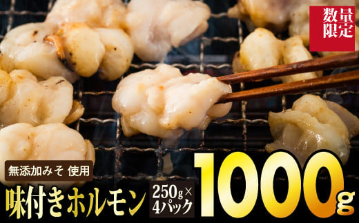 【数量限定】1,000g 佐賀牛 味付ホルモン D-551