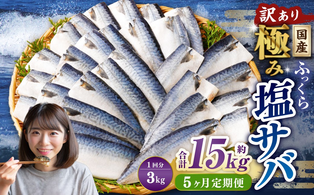
            【5ヶ月定期便】【訳あり】国産 ふっくら 極み塩サバ 計約3kg ／ 1切れ 塩サバ 塩さば 塩鯖 さば サバ 鯖 魚
          