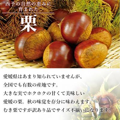 ふるさと納税 西予市 むき栗(訳アリ)　150g×4袋 |  | 01