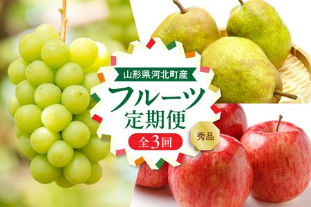 【令和7年産】河北町の山形らしいフルーツ定期便3回(シャインマスカット・ラフランス・サンフジ)【山形eLab】