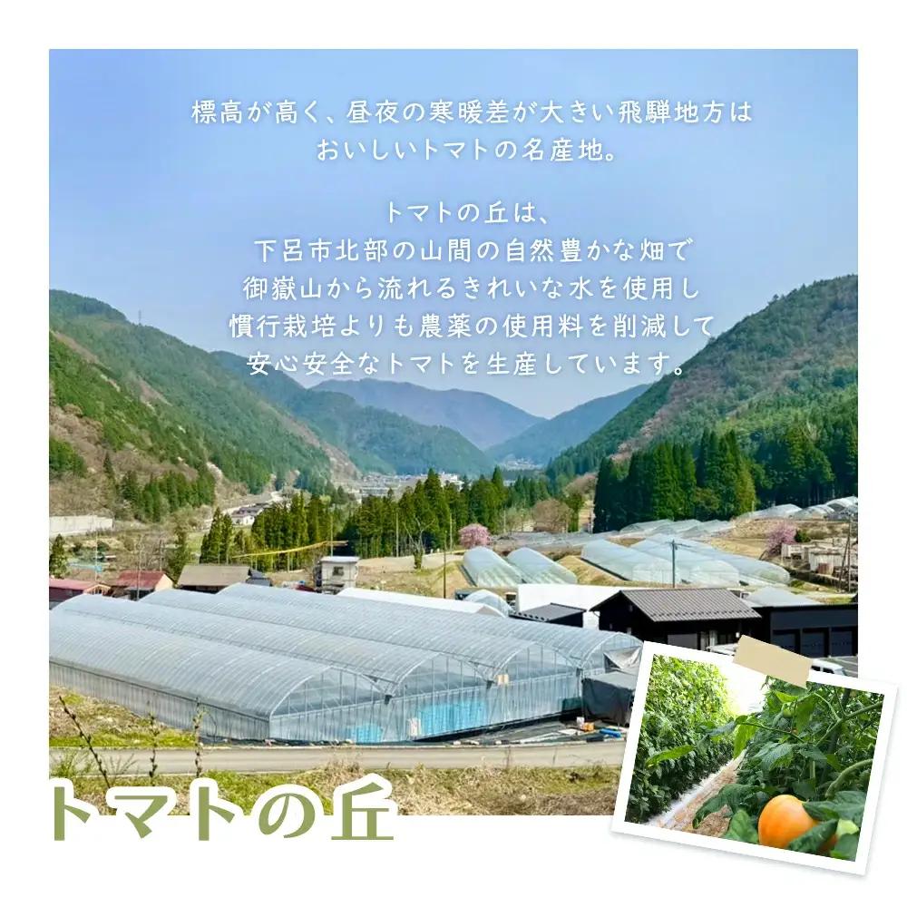先行予約（2026年8月から発送）【定期便 3回】（ラベルレス）飛騨産 100％ 無添加トマトジュース（1L×6本入り）×3ヶ月 定期 【113-G】