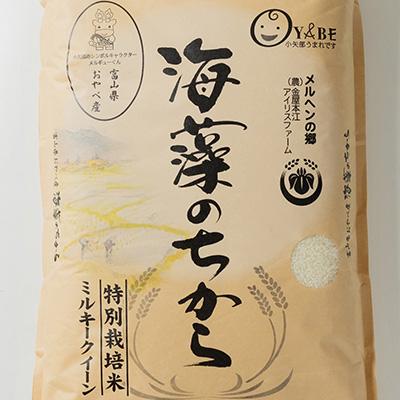 ふるさと納税 小矢部市 特別栽培米20kg (精米/ミルキークイーン10kg×2) |  | 02