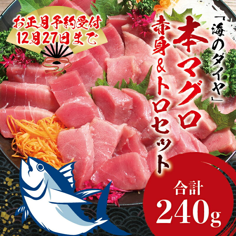 【ふるさと納税】本マグロ（養殖） トロ＆赤身セット 240g / 中トロ 中とろ まぐろ マグロ 鮪 赤身 丼 じゃばら まぐろ丼 マグロ丼