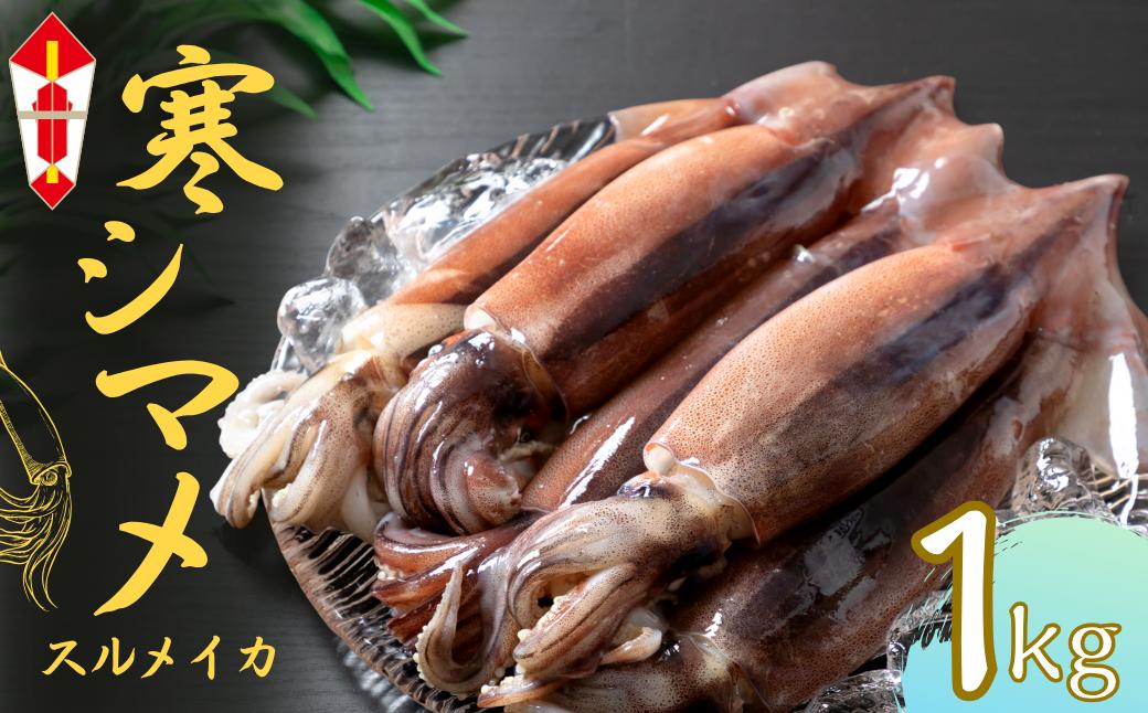 【のし付き】【朝どれスルメイカ 丸ごと5~6本】スルメイカ シマメ 約1kg 冷凍 刺身 個包装 捌き方説明書付き（ いか 烏賊 イカ スルメ ） 12月24日までのご注文で年内発送