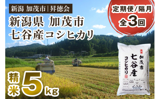 【令和8年産新米先行予約】【定期便3回隔月お届け】新潟県加茂市 七谷産コシヒカリ 精米5kg 《10月中旬～順次出荷》 白米 高柳地域産数量限定 昇徳会 定期便