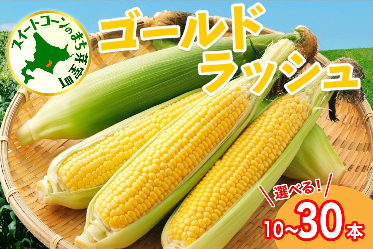 
            【先行受付】【2026年7月下旬～8月上旬頃配送】北海道十勝 芽室町産 朝獲れ とうもろこし ゴールドラッシュ（選べる本数 : 10本 15本 20本 30本）me035-026c-26-o
          