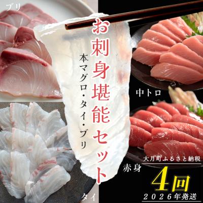 ふるさと納税 大月町 【定期便 4回】本マグロ・タイ・ブリ お刺身堪能セット