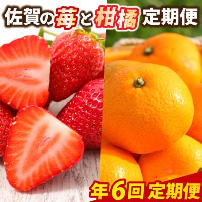 ふるさと納税 鳥栖市 【発送月固定定期便】佐賀の「苺と柑橘」定期便全6回
