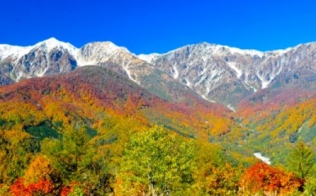 白馬岩岳マウンテンリゾート ゴンドラリフト往復乗車券 大人2名ペアチケット/長野県白馬村　マウンテンリゾート　アクティビティ　アウトドア　ブランコ　マウンテンハーバー　絶景の北アルプス　犬連れ【L02