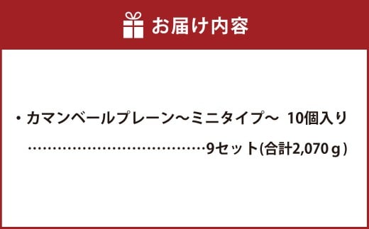 カマンベールプレーン ～ミニタイプ～ 10個入り×9セット 合計90個 カマンベール カマンベールチーズ チーズ 手造り 個包装 花畑牧場 北海道 中札内村 冷蔵 [002-0080]