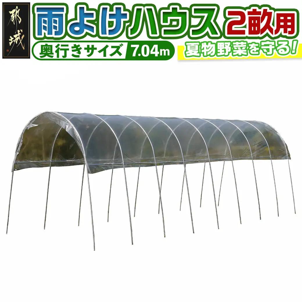 雨よけハウス【2畝用】〈AM-2270〉_65-J401_(都城市) 雨よけのハウス みずみずしい野菜 完全組立式 簡単 設置 障害や病気対策 24株 2畝用