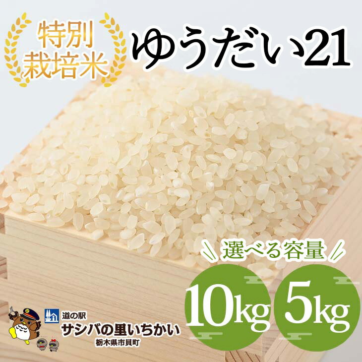 【ふるさと納税】【選べる容量】市貝町産 特別栽培米〈ゆうだい21〉5kg 10kg ｜ 国産 栃木県産米 お米 特別栽培米 精米 白米 栃木米 とちぎ米 ※離島への配送不可 ※2025年9月中旬頃より順次発送予定