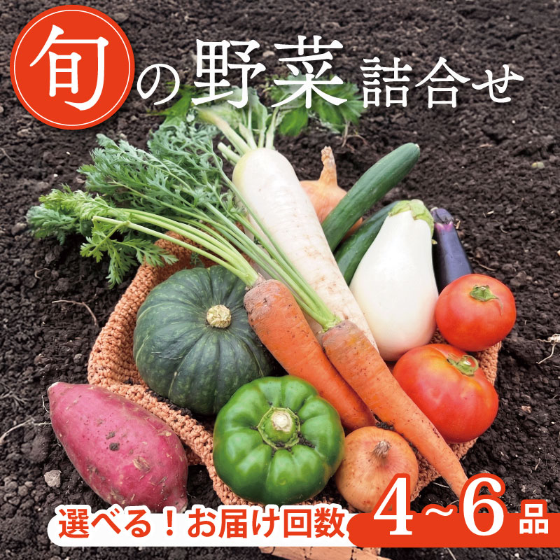 【ふるさと納税】 選べる回数 京野菜セット 4~6種 レギュラーコース 野菜セット 野菜詰め合わせ 京野菜 野菜 やさい 冷蔵 セット 季節 旬 自然 詰合せ おまかせ 鍋 鍋セット 希少 新鮮 春野菜 夏野菜 秋野菜 冬野菜 人気 ランキング お取り寄せ ふるさと納税 京都 京都府