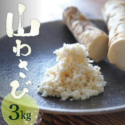 ふるさと納税 芽室町 北海道芽室町 十勝産山わさび(土付き3kg)me064-002b