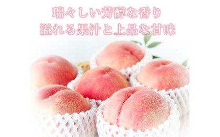 桃 秀品　紀州和歌山産の桃　３玉　化粧箱入【2026年6月下旬頃～2026年8月上旬頃に順次発送予定】【UT105】【Z91061-uot750】