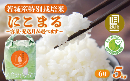 【令和7年産】 にこまる 5kg 【6月配送】 |   にこまる 白米