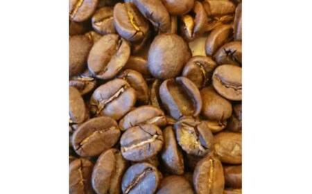 ＜2ヵ月毎定期便＞厳選コーヒー豆100g×5種類セット全3回