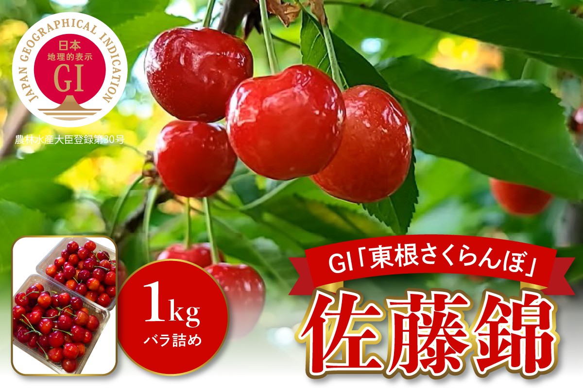 
                  【2026年産 数量限定】GI「東根さくらんぼ」佐藤錦 1kgバラ詰め 山形県 東根市 みのる果樹園提供 hi063-002-r8
                