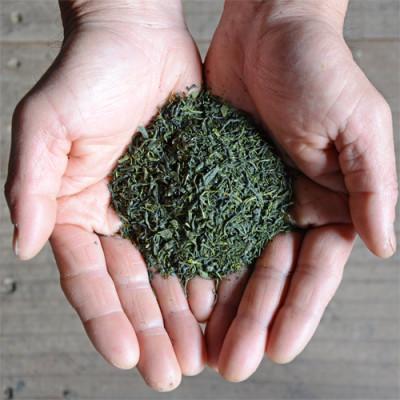 ふるさと納税 鹿島市 【うれしの茶】700g(350g×2袋)四代続くお茶農家のこだわりの緑茶 |  | 02