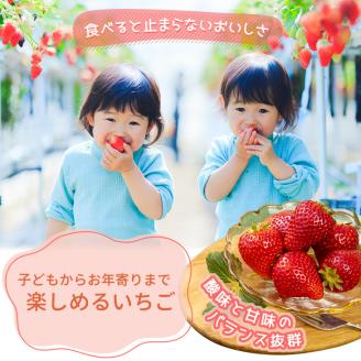 【1月発送】【先行予約】【数量限定】とちおとめ　280g × 4パック｜いちご イチゴ 苺