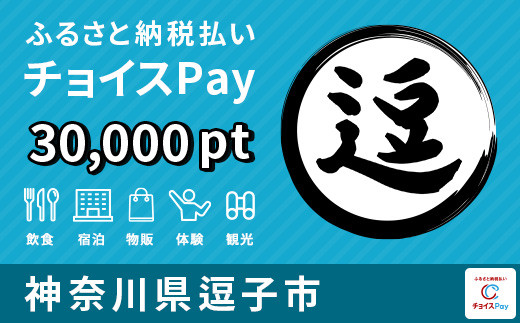 
[№5875-0393]逗子市 チョイスPay 30,000ポイント【会員限定のお礼の品】
