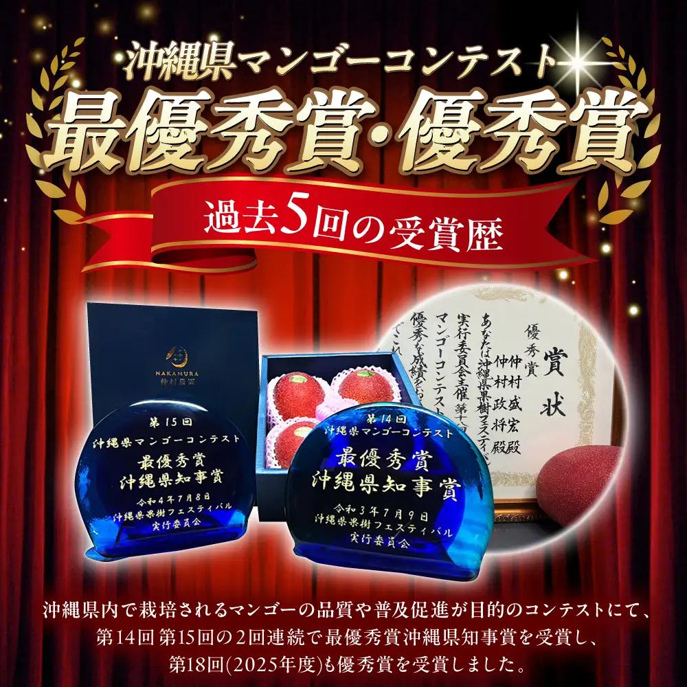【2027年発送 先行予約】アップルマンゴー 贈答用 2kg マンゴー BCCU001