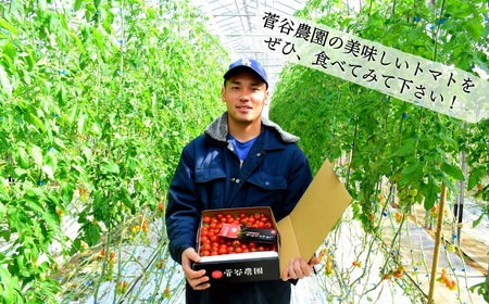 ミニトマト（プチぷよ）　バラ詰め2.0kg【6月発送】