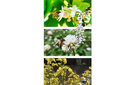 【上質】 百花蜜 120g 蜂蜜 国産 無添加 無着色 非加熱 安心安全 こだわり はちみつ ハチミツ ハニー
