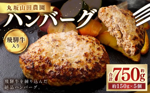 飛騨牛入り ハンバーグ 5個 セット | 丸坂山田農園 飛騨牛 牛肉 肉 お肉 手作り 惣菜