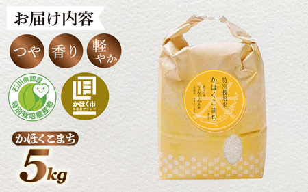 【令和8年産】 かほくこまち 5kg 【2026年12月配送】 | お米 米 かほくこまち